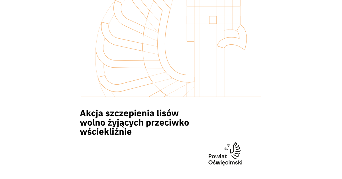 Grafika z tytułem artykułu
