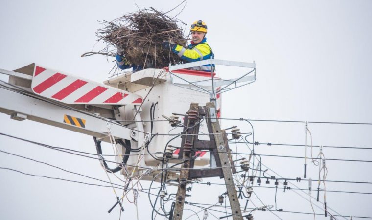 Robotnicy pracujący na wysokości