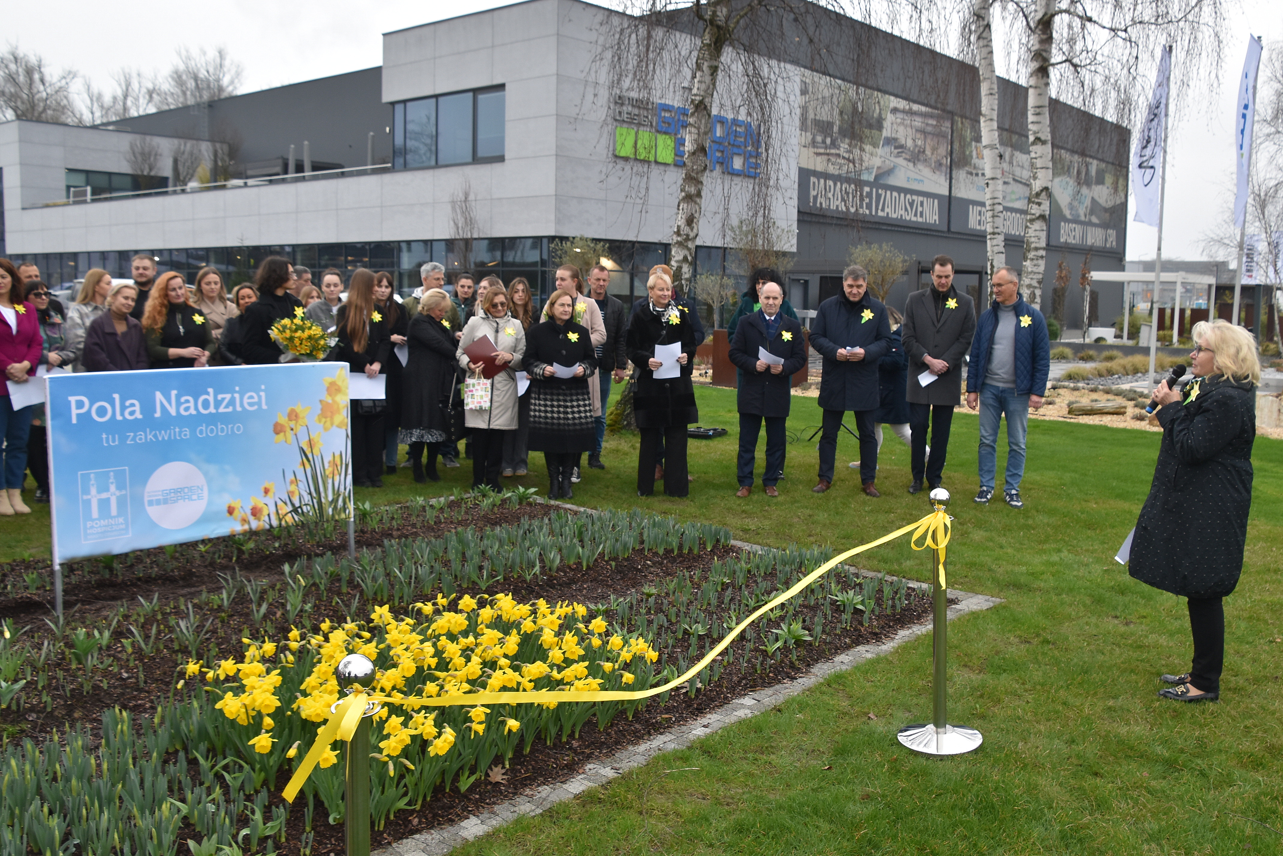 Żonkile dla darczyńców oświęcimskiego hospicjum