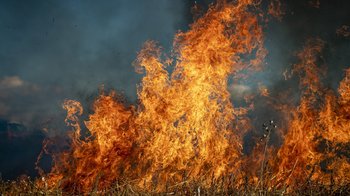 Obraz główny aktualności o tytule ARiMR przypomina: wypalanie traw jest karalne 