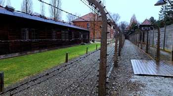 Obraz główny aktualności o tytule Zdecydowana reakcja starosty oświęcimskiego i dyrektora Muzeum Auschwitz na szokujące i oburzające słowa europosła Brauna 